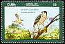 Gundlach's Hawk Accipiter gundlachi  1976 Endemic birds 