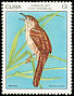 Zapata Wren Ferminia cerverai  1977 Endemic birds 