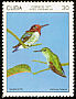 Bee Hummingbird Mellisuga helenae  1977 Endemic birds 