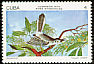 Cuban Gnatcatcher Polioptila lembeyei  1978 Endemic birds 