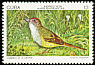 Zapata Sparrow Torreornis inexpectata  1978 Endemic birds 