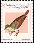 Key West Quail-Dove Geotrygon chrysia  1979 Doves and pigeons 