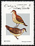 Ruddy Quail-Dove Geotrygon montana  1979 Doves and pigeons 