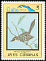Northern Mockingbird Mimus polyglottos  1983 Birds 