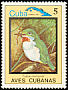 Cuban Tody Todus multicolor