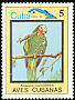 Cuban Amazon Amazona leucocephala  1983 Birds 