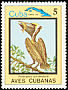 Brown Pelican Pelecanus occidentalis  1983 Birds 
