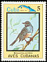 Red-legged Thrush Turdus plumbeus