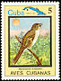 Cuban Solitaire Myadestes elisabeth  1983 Birds 