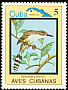 Great Lizard Cuckoo Coccyzus merlini  1983 Birds 