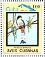 Cuban Trogon Priotelus temnurus