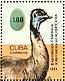 Emu Dromaius novaehollandiae