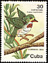 Cuban Tody Todus multicolor