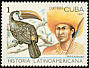 White-throated Toucan Ramphastos tucanus  1987 Latin American history 