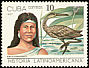 Limpkin Aramus guarauna  1987 Latin American history 