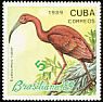 Scarlet Ibis Eudocimus ruber  1989 Brasiliana 89 