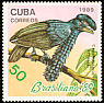Amazonian Umbrellabird Cephalopterus ornatus  1989 Brasiliana 89 