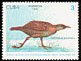 Weka Gallirallus australis  1990 New Zealand 90 