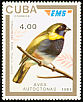 Cuban Grassquit Phonipara canora  1991 Express mail, birds 