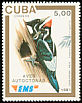 Ivory-billed Woodpecker Campephilus principalis  1991 Express mail, birds 
