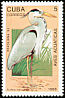 Great Blue Heron Ardea herodias  1993 Brasiliana 93 