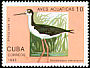Black-necked Stilt Himantopus mexicanus  1993 Brasiliana 93 