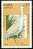 Sandhill Crane Antigone canadensis  1993 Brasiliana 93 