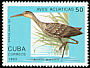 Limpkin Aramus guarauna  1993 Brasiliana 93 