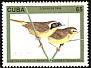 Common Yellowthroat Geothlypis trichas  1996 Gundlach 