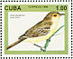 Cuban Vireo Vireo gundlachii