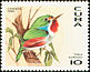 Cuban Tody Todus multicolor