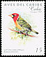 Red-headed Barbet Eubucco bourcierii  1997 Birds of the Caribbean 