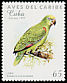 Yellow-crowned Amazon Amazona ochrocephala  1997 Birds of the Caribbean 