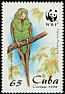 Cuban Parakeet Psittacara euops  1998 WWF 