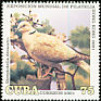 Eurasian Collared Dove Streptopelia decaocto  2001 Hong Kong 2001 