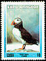 Atlantic Puffin Fratercula arctica