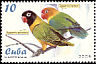 Fischer's Lovebird Agapornis fischeri  2005 Parrots 