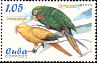 Cuban Parakeet Psittacara euops