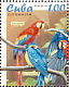 Scarlet Macaw Ara macao  2005 Parrots  MS