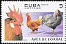 Red Junglefowl Gallus gallus  2006 Domestic birds 