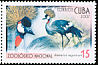 Grey Crowned Crane Balearica regulorum  2007 Zoo animals 6v set