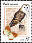 Western Barn Owl Tyto alba  2008 Owls and butterflies 