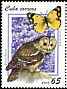 Tawny Owl Strix aluco  2008 Owls and butterflies 