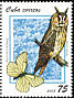 Long-eared Owl Asio otus  2008 Owls and butterflies 