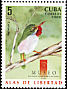 Cuban Tody Todus multicolor