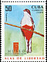 Cuban Trogon Priotelus temnurus