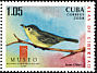 Cuban Vireo Vireo gundlachii  2008 MUSEO 