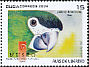 Red-shouldered Macaw Diopsittaca nobilis  2009 MUSEO 