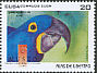 Hyacinth Macaw Anodorhynchus hyacinthinus  2009 MUSEO 