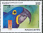 Hyacinth Macaw Anodorhynchus hyacinthinus